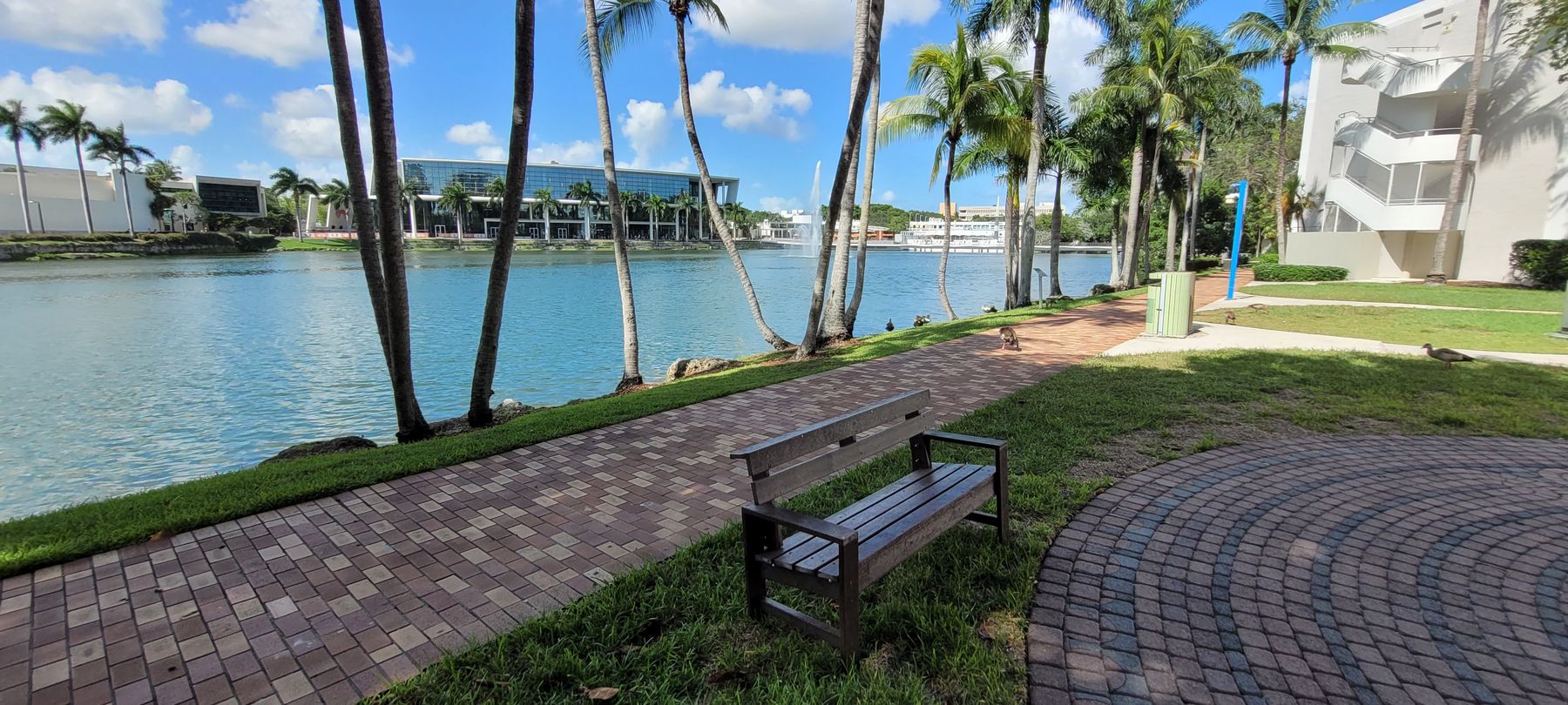 University of Miami lakeside bench made from Everwood plastic lumber