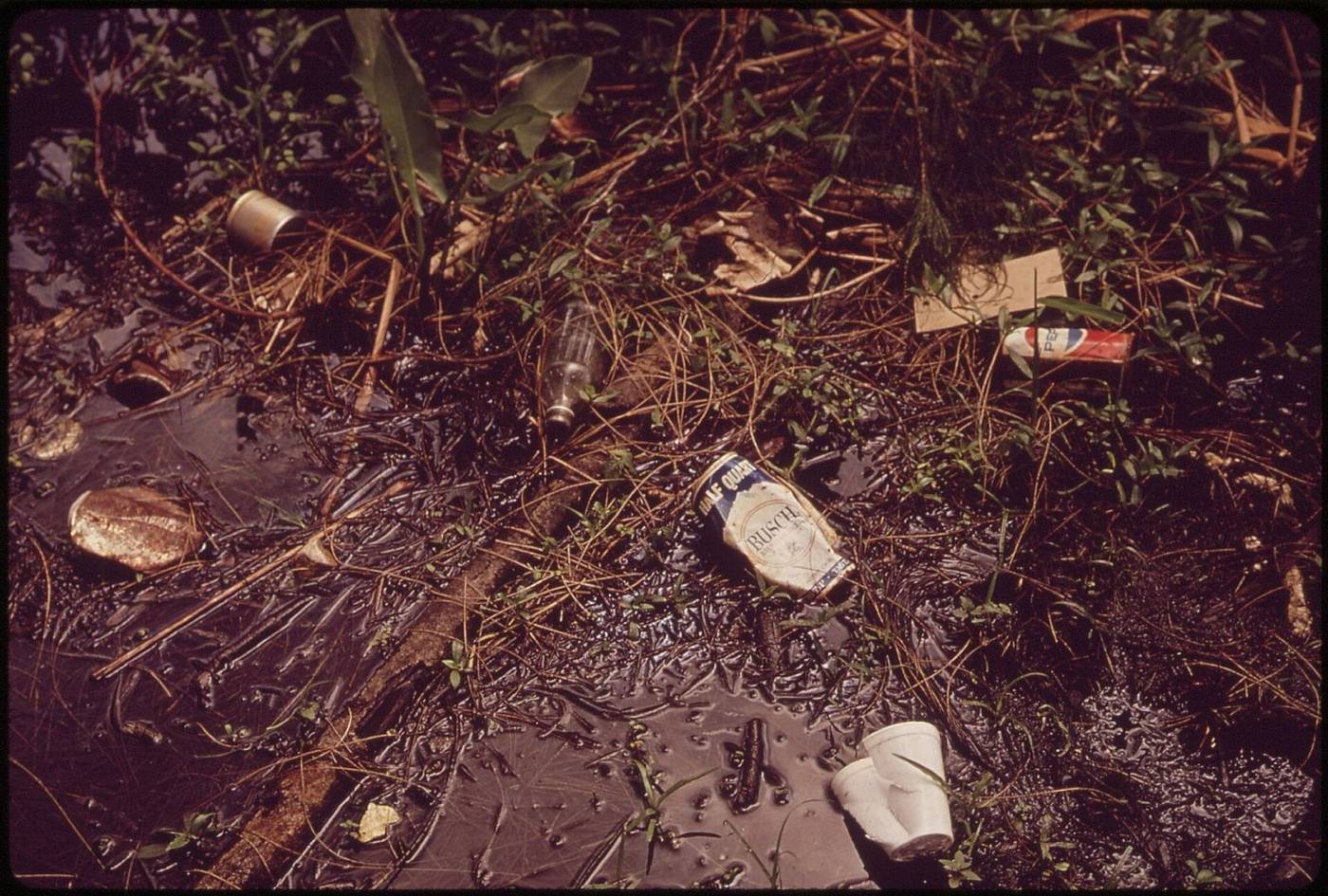 Litter beside Tamiami Canal near Everglades National Park, July 1972