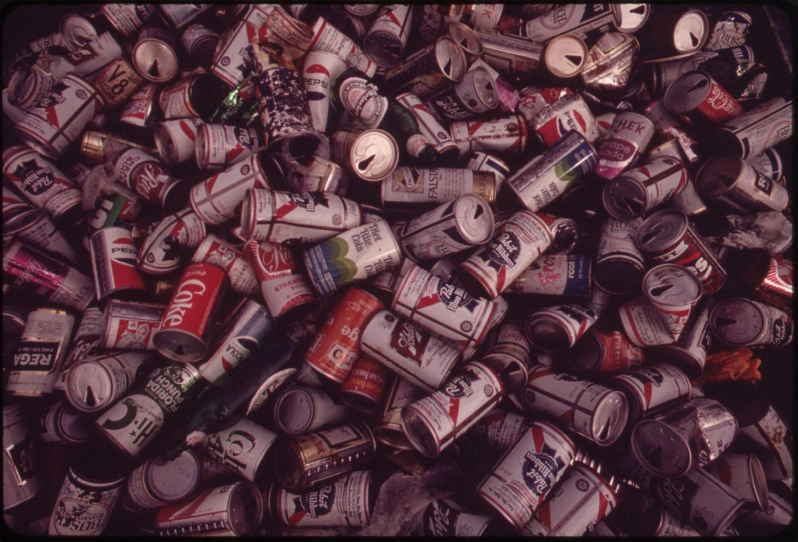 Heap of drink cans salvaged by Girl Scouts at Islamorada, Florida Keys, 1973