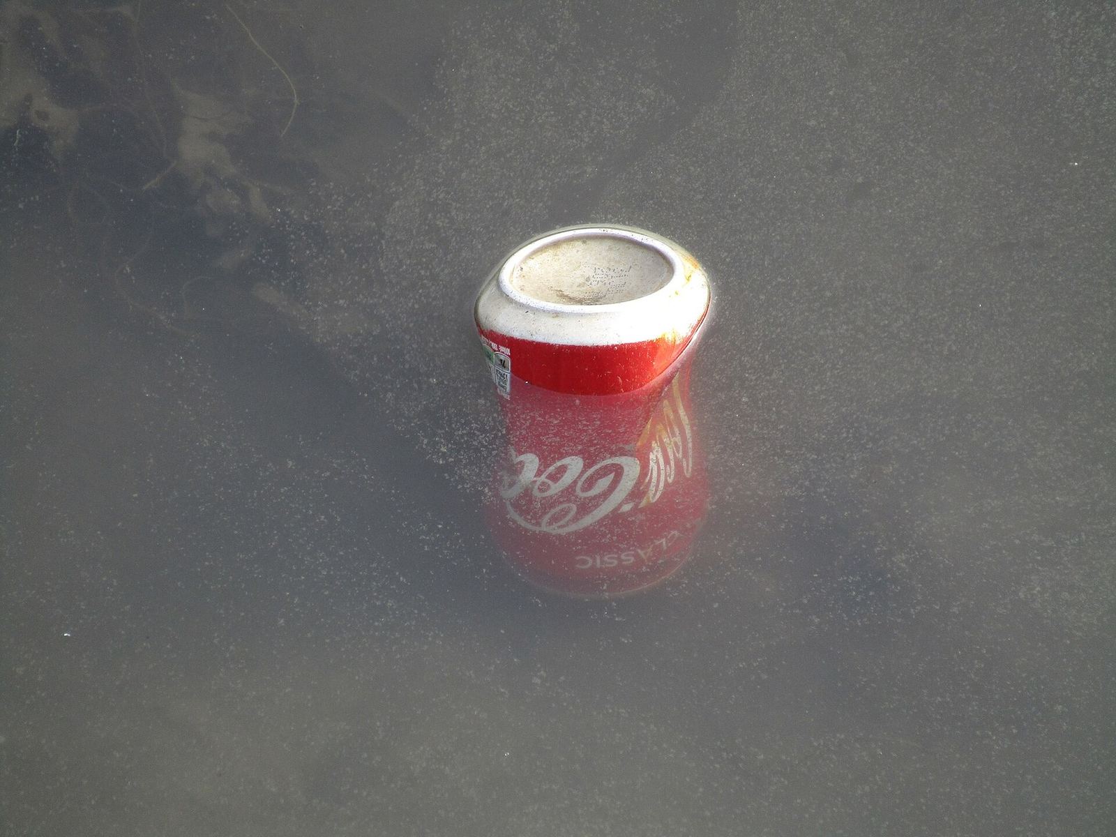 Coca-Cola can floating in harbour water