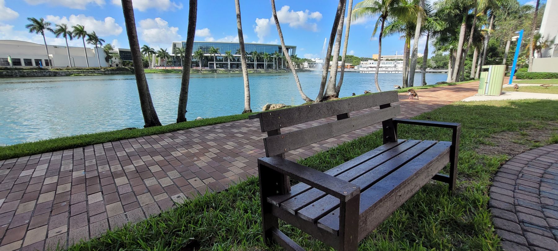 Closer view of lakeside Everwood bench at the University of Miami