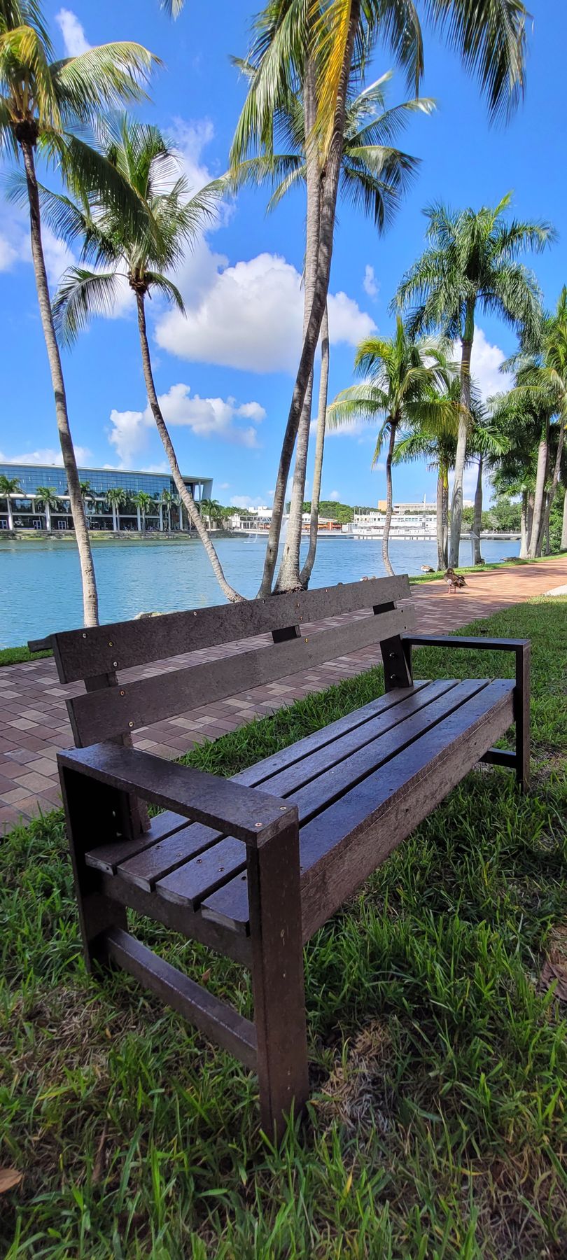 Vertical lakeside bench view