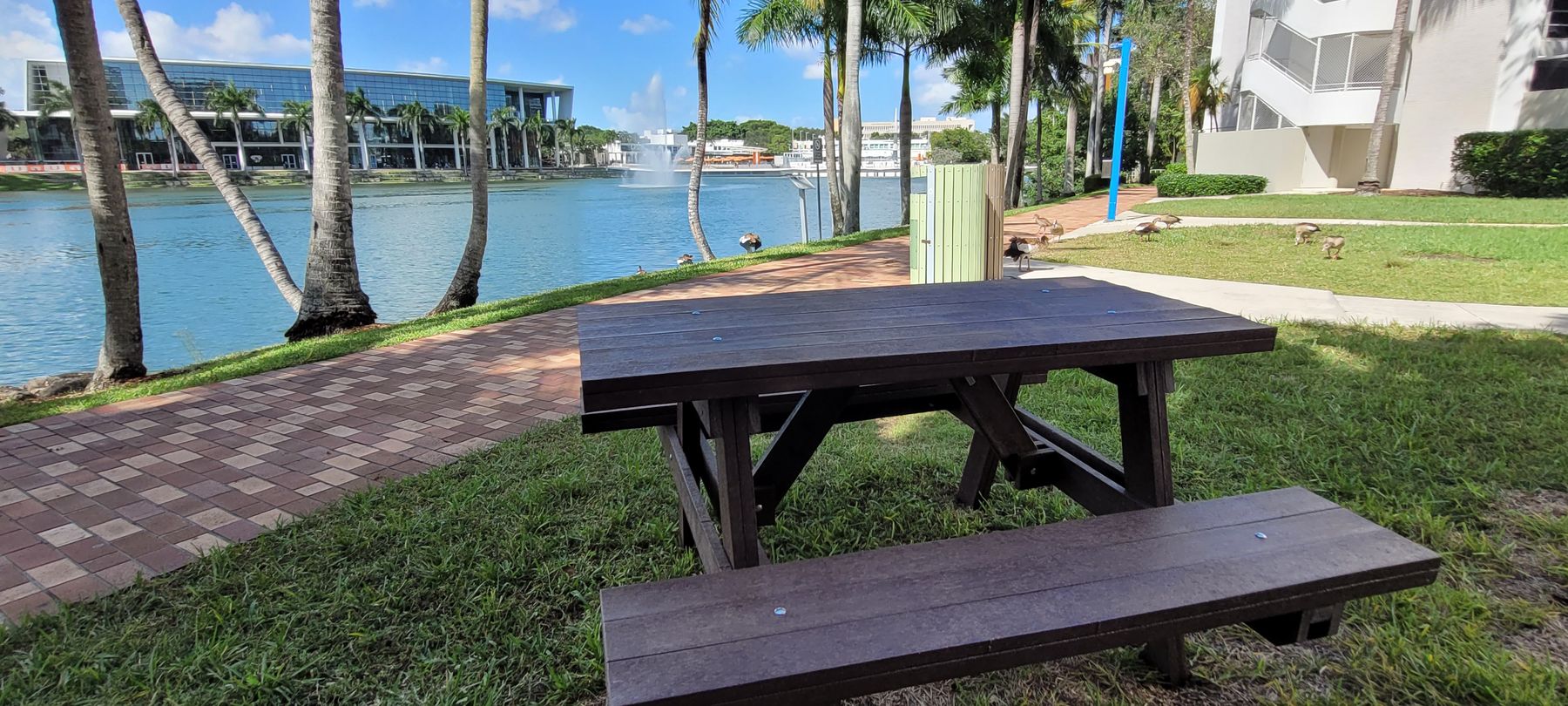 Everwood picnic table at the University of Miami
